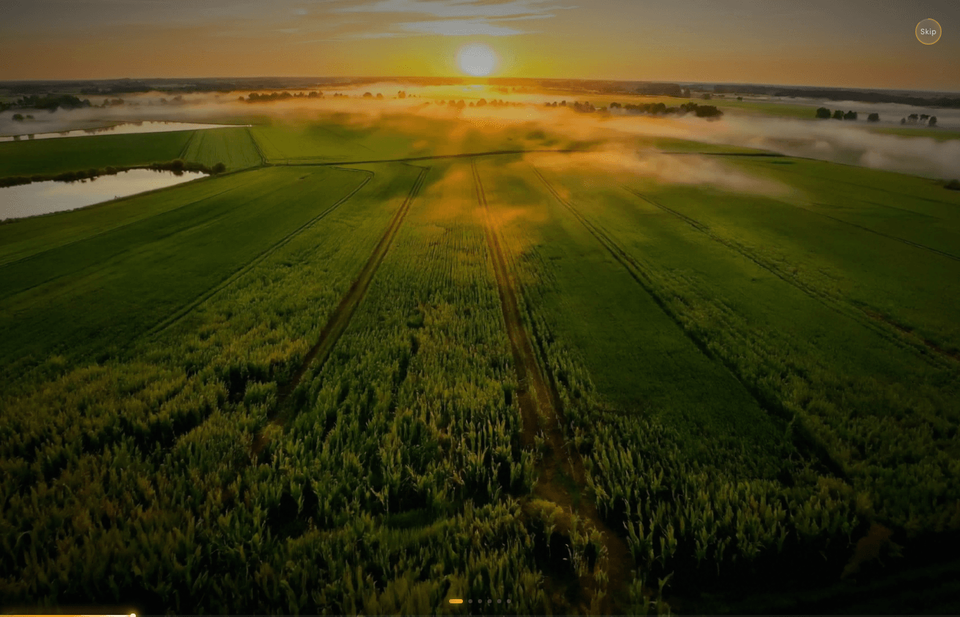 LoadiraDirect — Agricultural Marketplace (International) website built by GladiTel